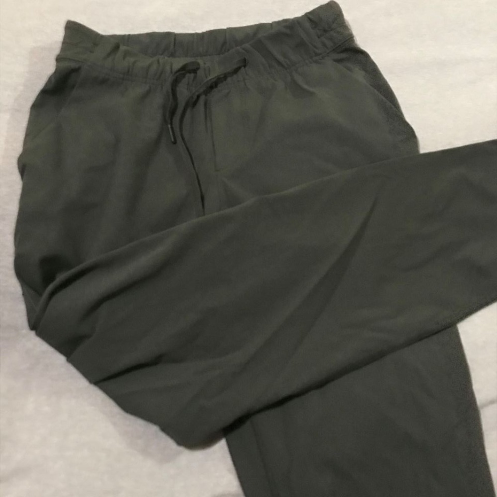 ARITZIA The Constant Joggers